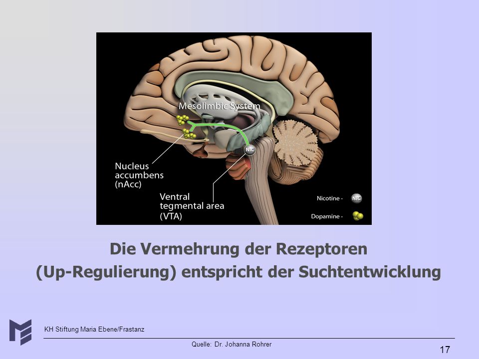 Hat erkannt dass wie schwanger ist man muss Rauchen aufgeben
